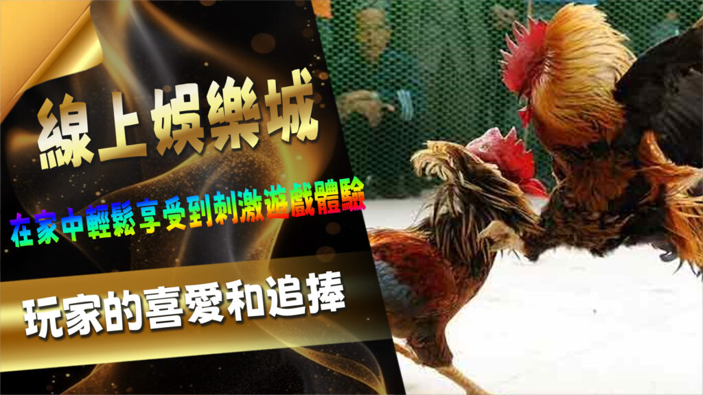 即將推出的AT99娛樂城斗雞賭博
