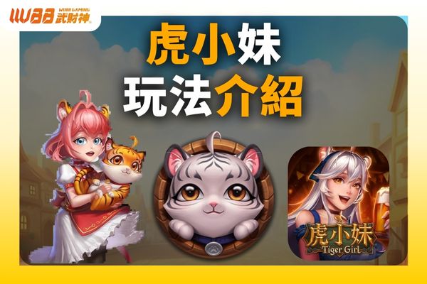 虎小妹玩法